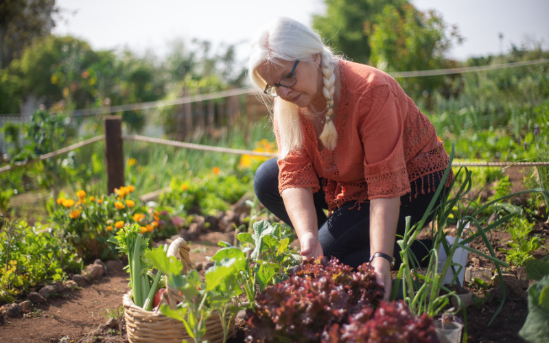 Garden Games and Activities