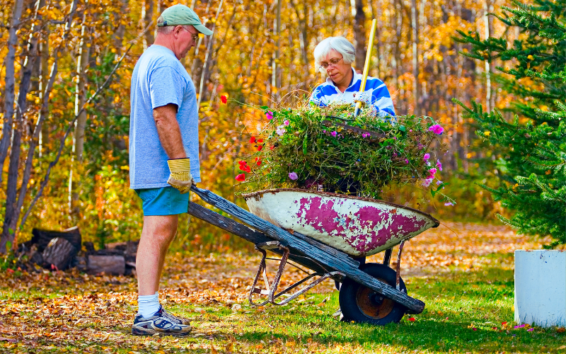 Gardening is Great for Older Adults