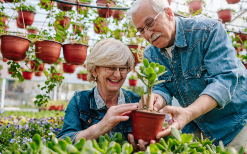 Pots and Hanging Baskets for Indoor Plants