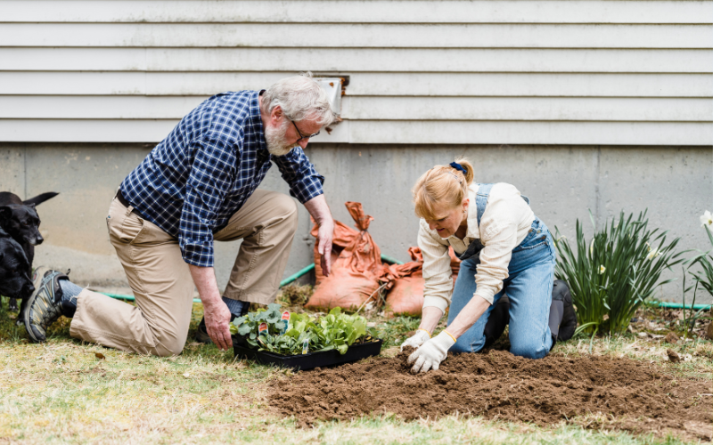 Top Tips to Make Gardening Accessible